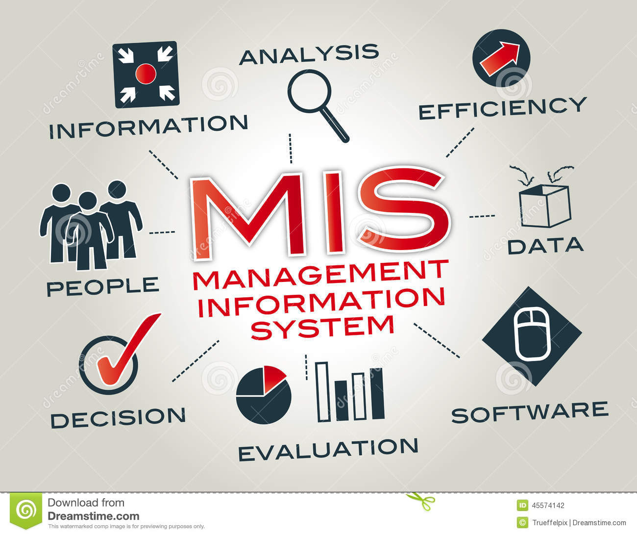 Business Management And Information System